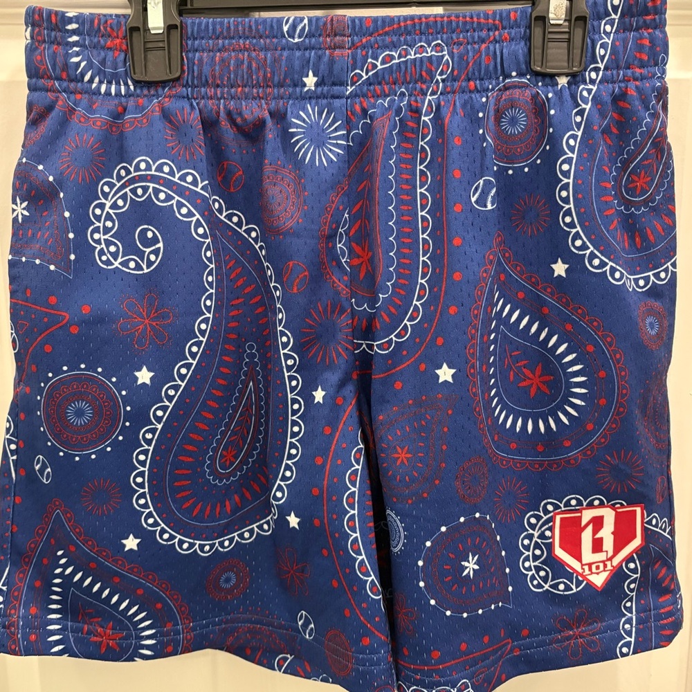 Boys Baseball Lifestyle 101 shorts